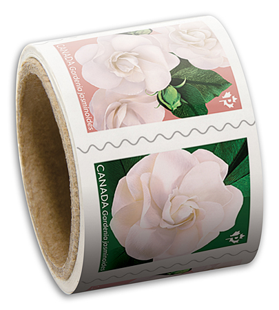 Rouleau de 50 timbres