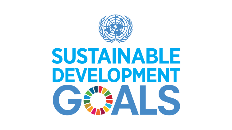 UN Sustainable Development Goals logo.